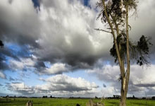 天涯社区在哪里？