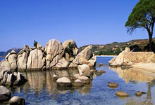 天涯社区和天涯论坛：一个网上的大家庭